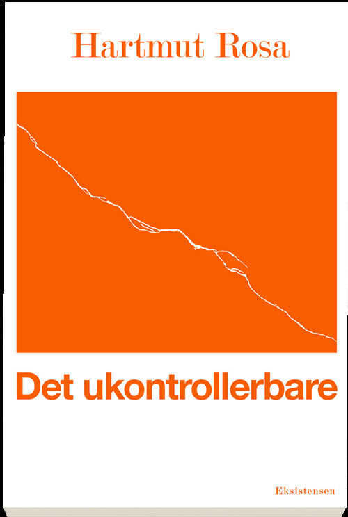 Det ukontrollerbare
