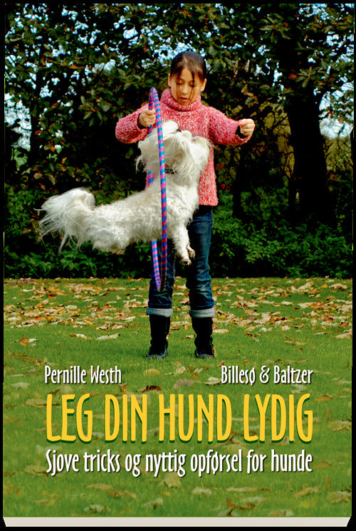 Leg din hund lydig