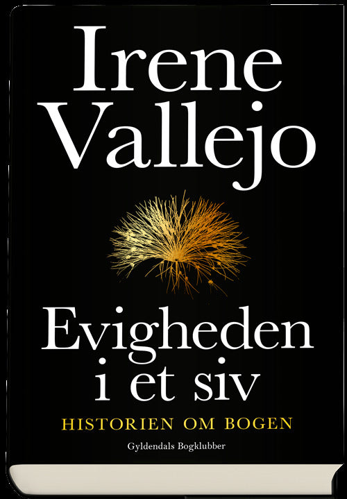 Evigheden i et siv