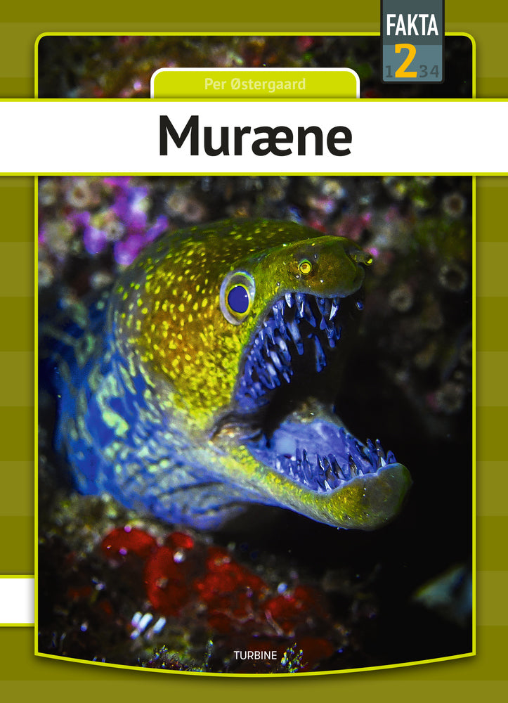 Muræne