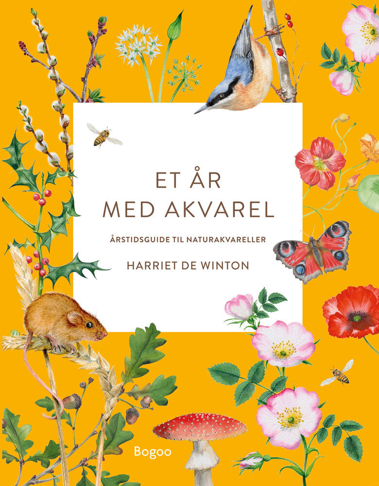 Et år med akvarel
