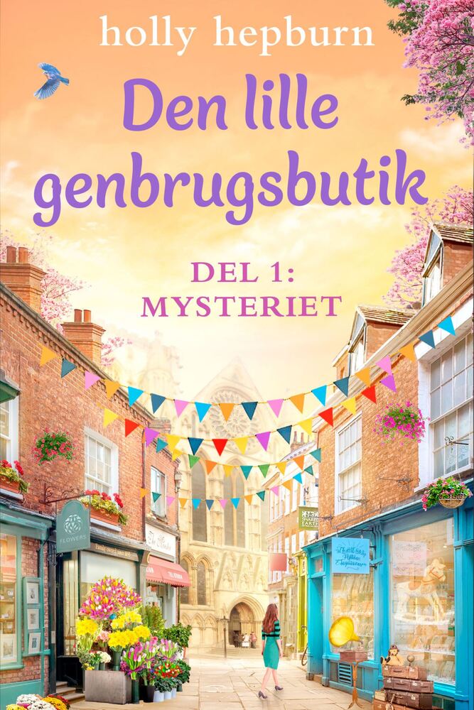 Den lille genbrugsbutik 1: Mysteriet