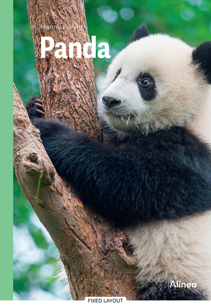 Panda, Grøn Fagklub