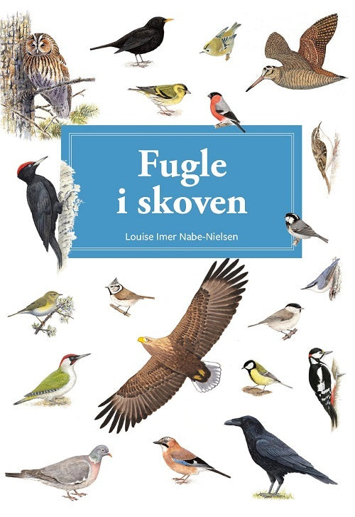 Fugle i skoven - display med 10 stk