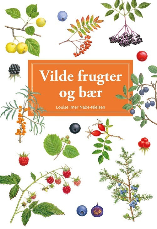 Vilde frugter og bær - display med 10 stk