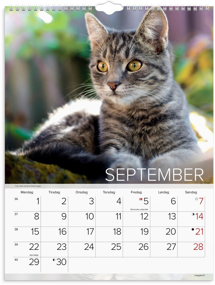 Mayland Vægkalender 2025 katte 29,5 x 39 cm