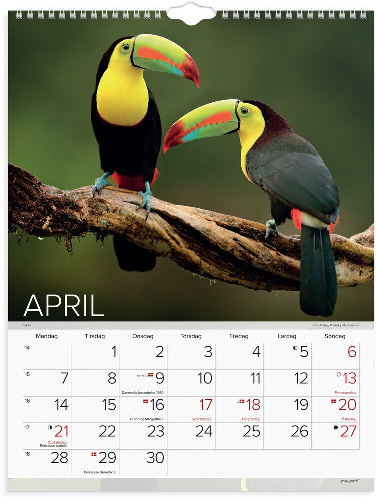 Mayland Vægkalender 2025 verdens dyr