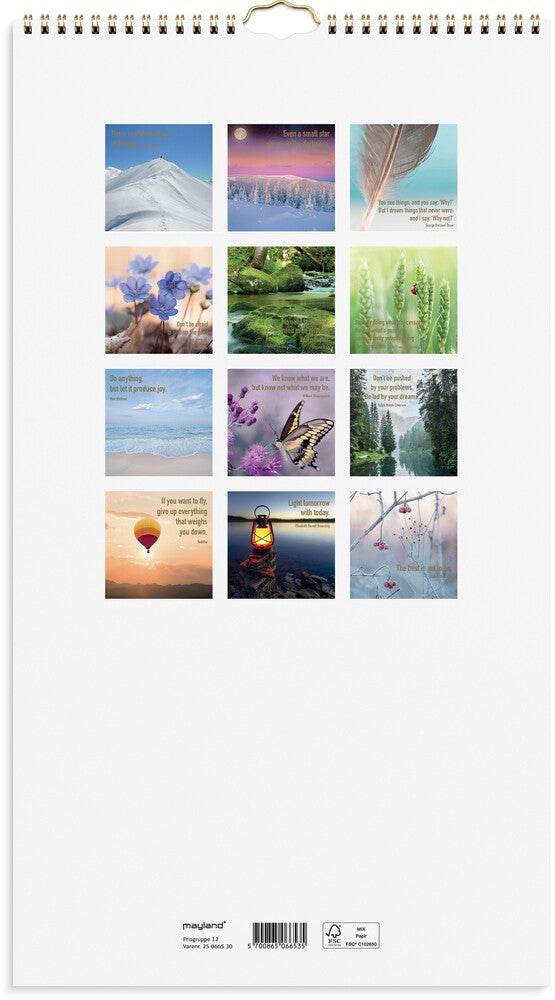 Mayland Vægkalender 2025 dream & do