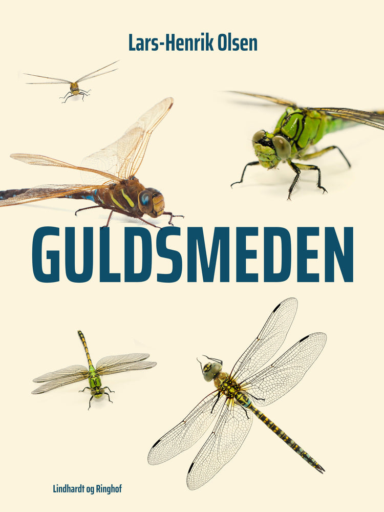 Guldsmeden