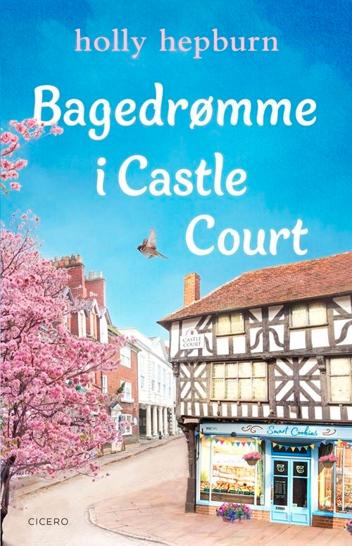 Bagedrømme i Castle Court