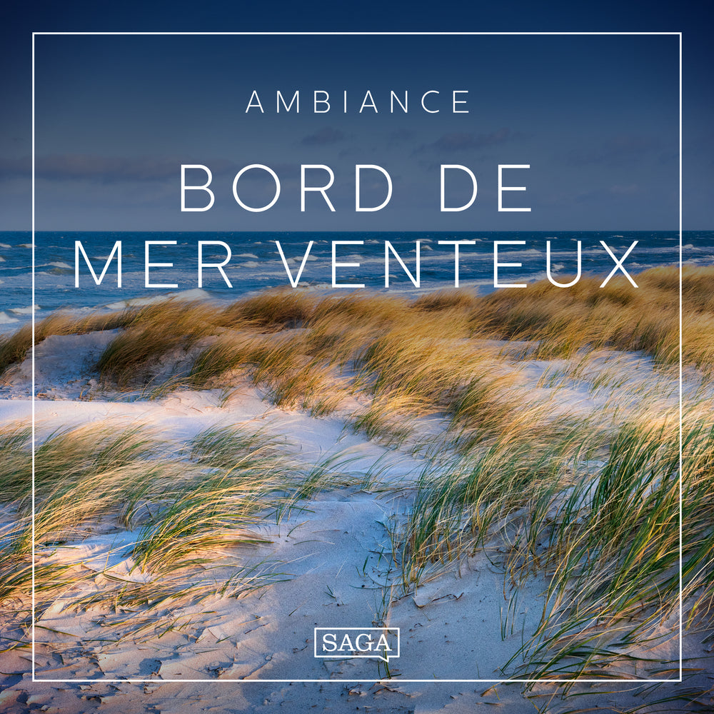 Ambiance – Bord de mer venteux