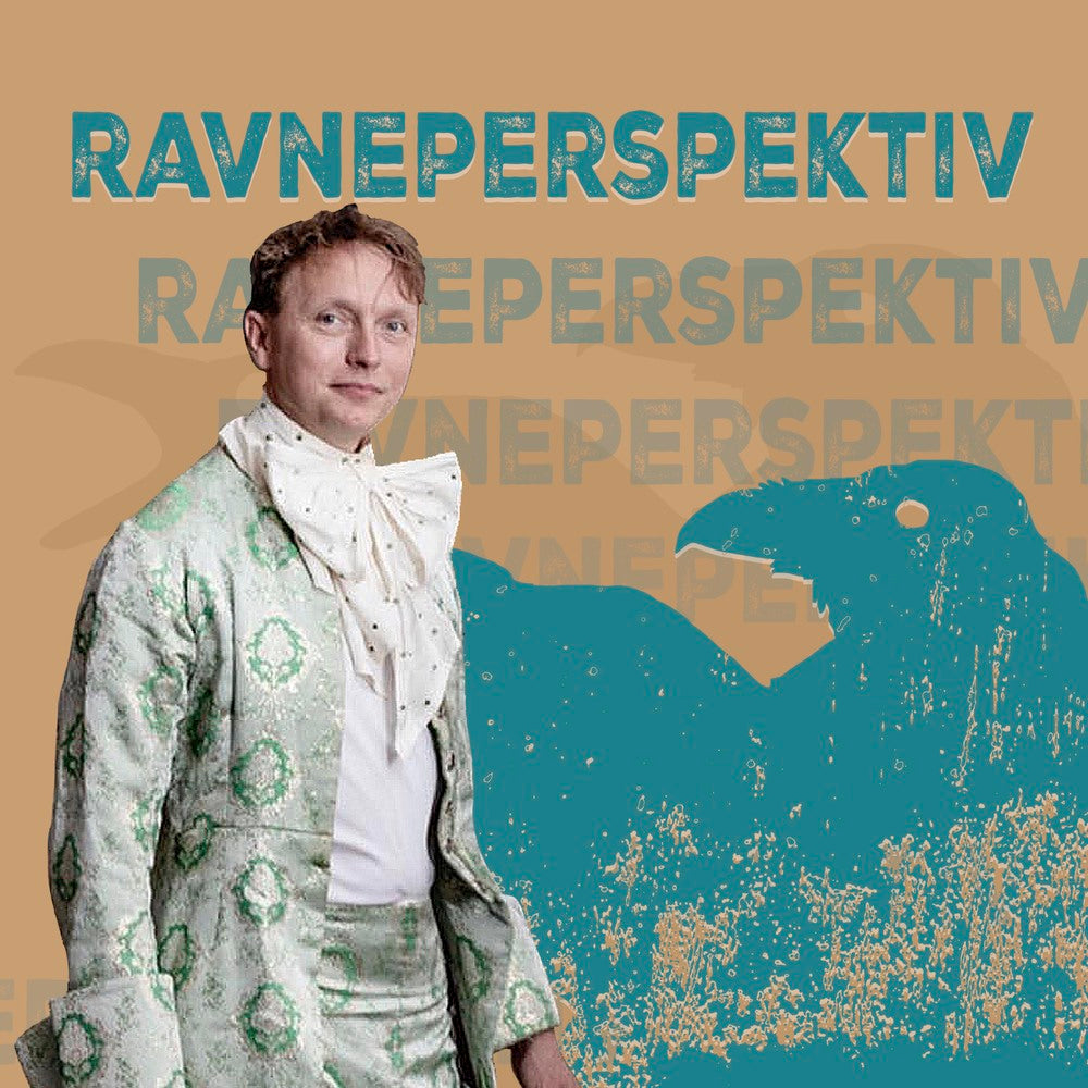 Ravneperspektiv
