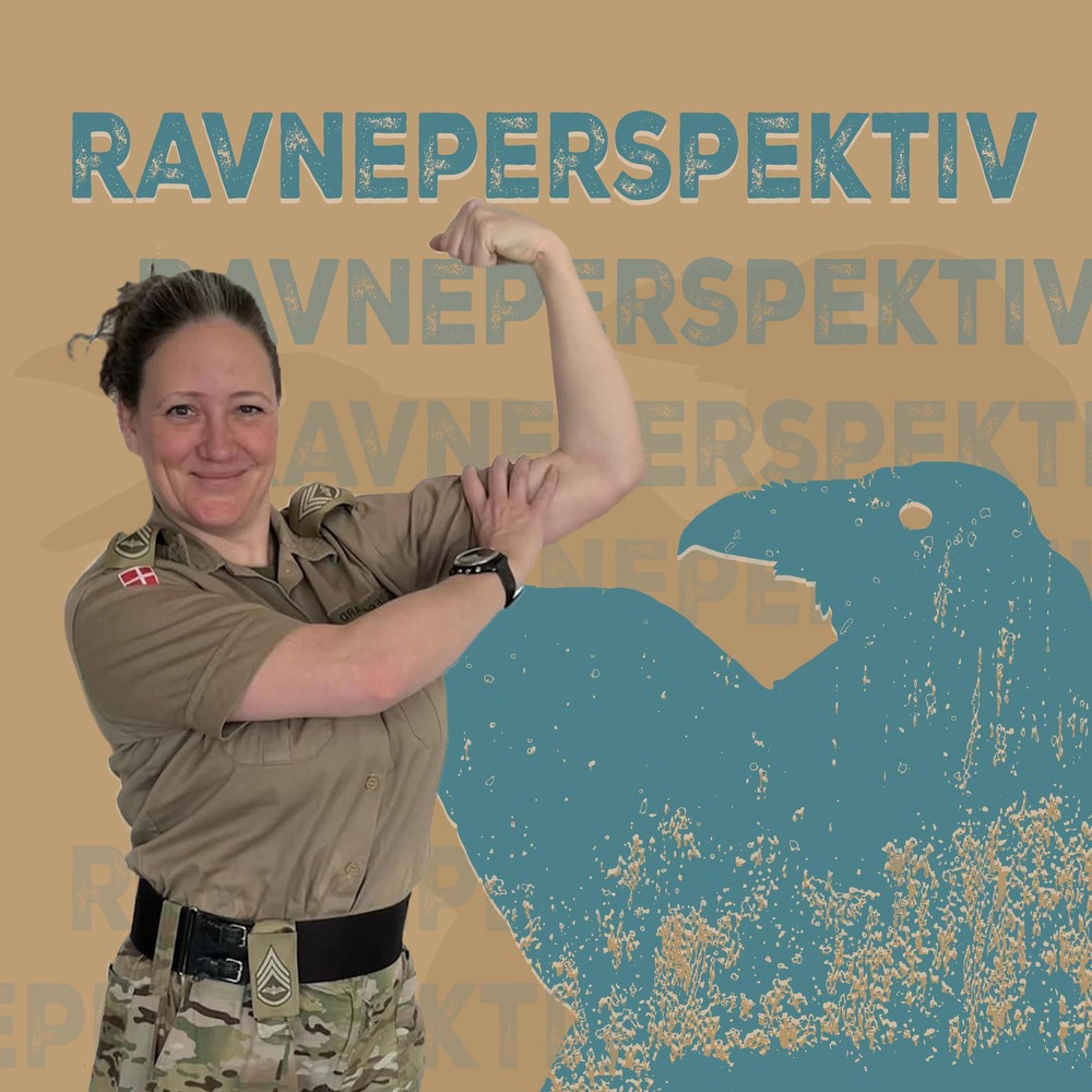 Ravneperspektiv