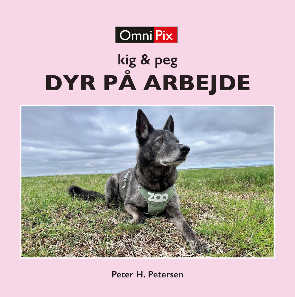 DYR PÅ ARBEJDE