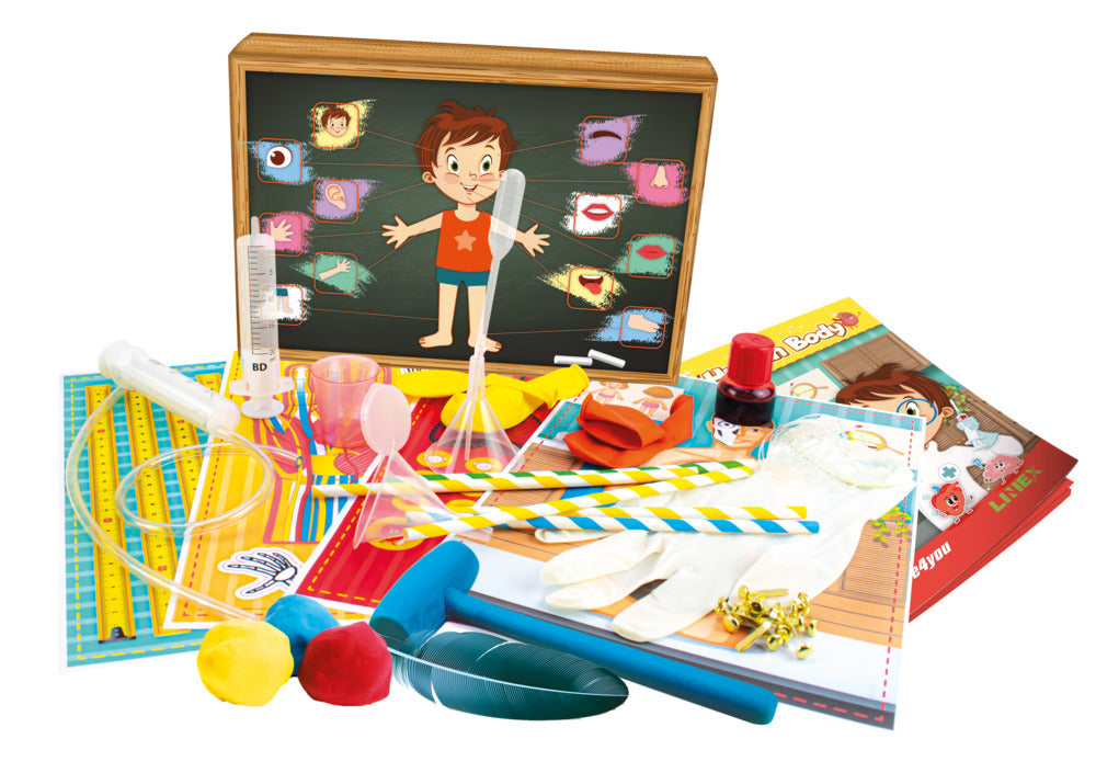 Science4you – Menneskekroppen