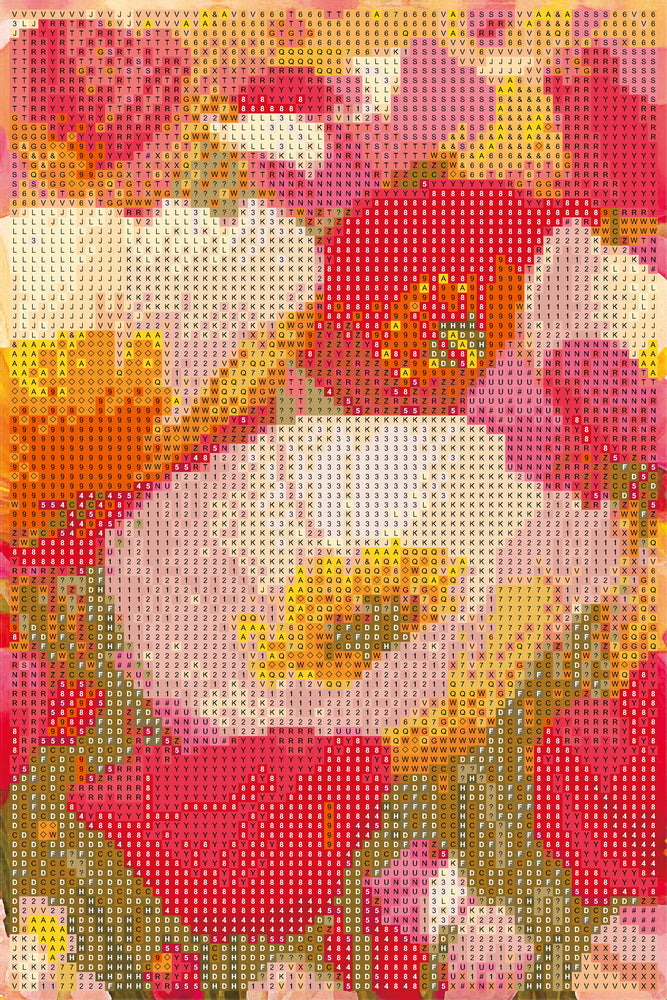 Diamond art valmueblomster 20 x 30 cm