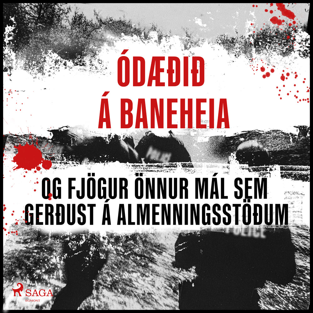 Ódæðið á Baneheia og fjögur önnur mál sem gerðust á almenningsstöðum
