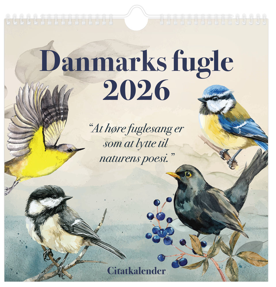 VÆGkalender 2026 Danmarks Fugle 29,5 x 29,5 cm