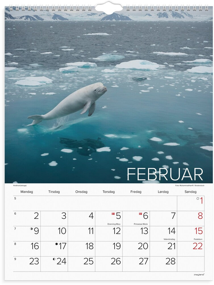 Vægkalender 2026 verdens dyr