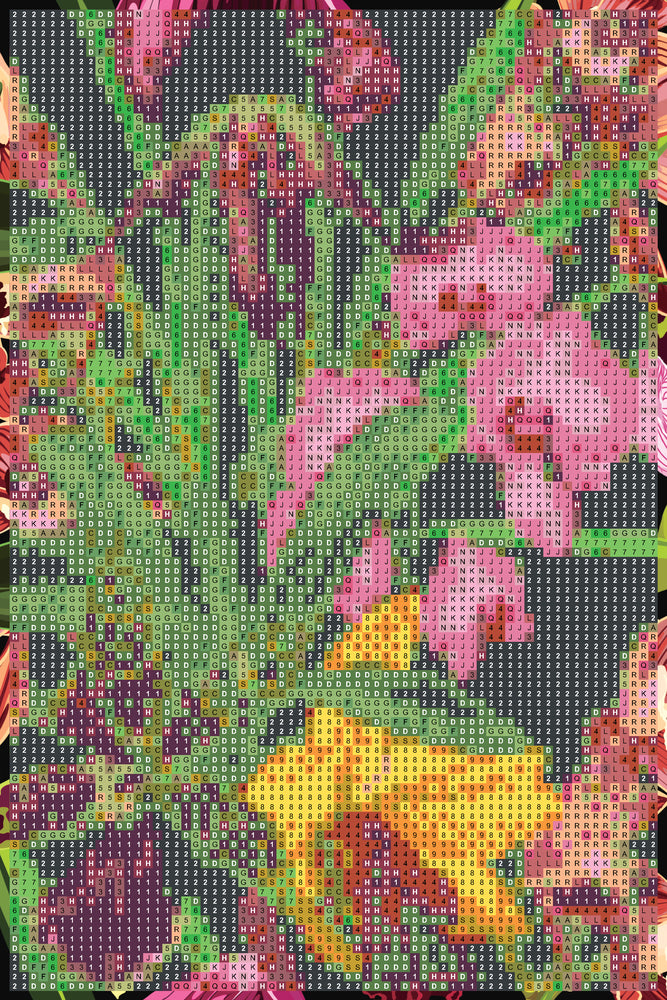Diamond art orkidéer 20 x 30 cm