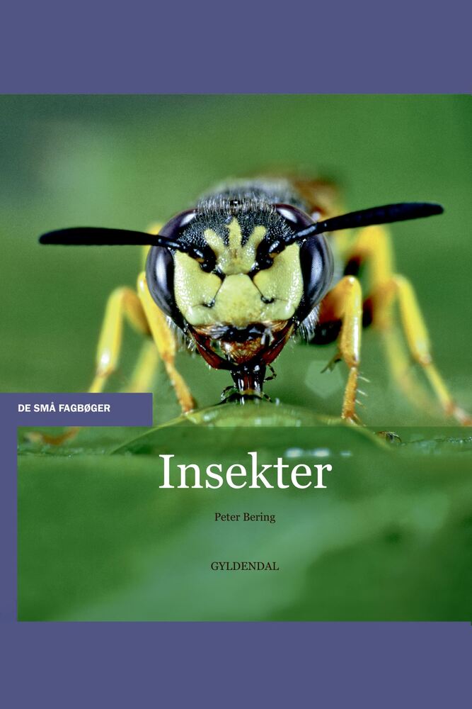 Insekter