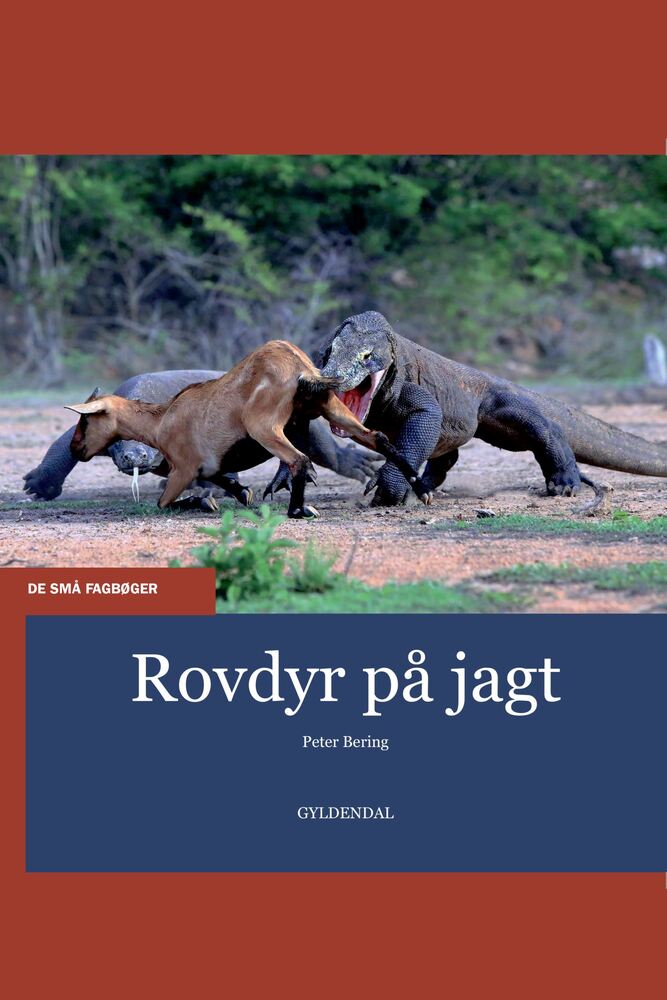 Rovdyr på jagt