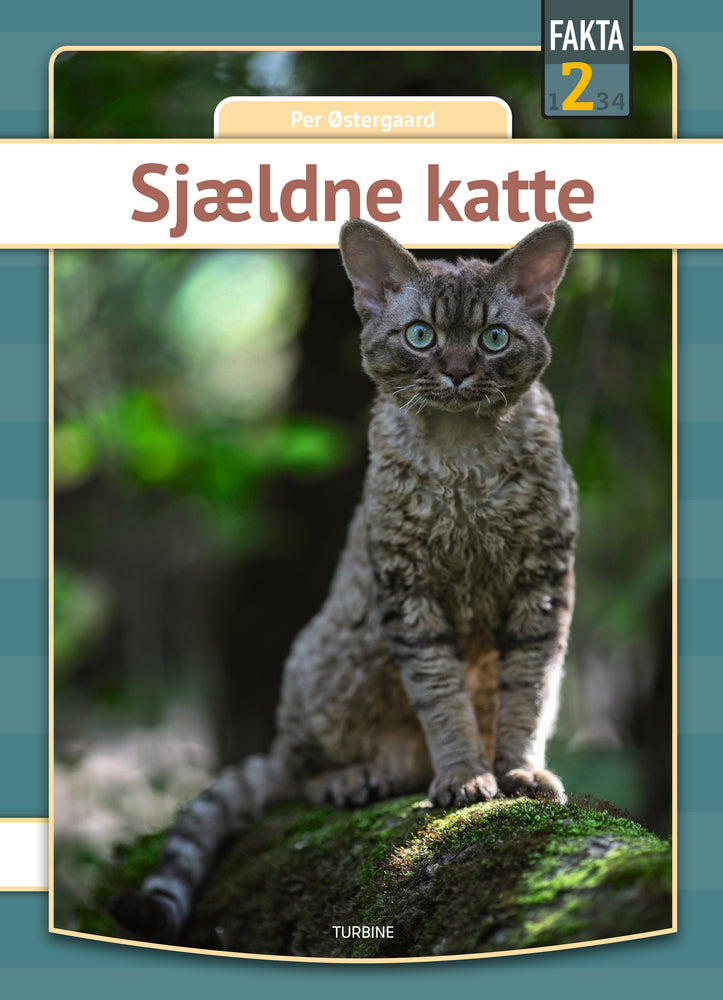 Sjældne katte