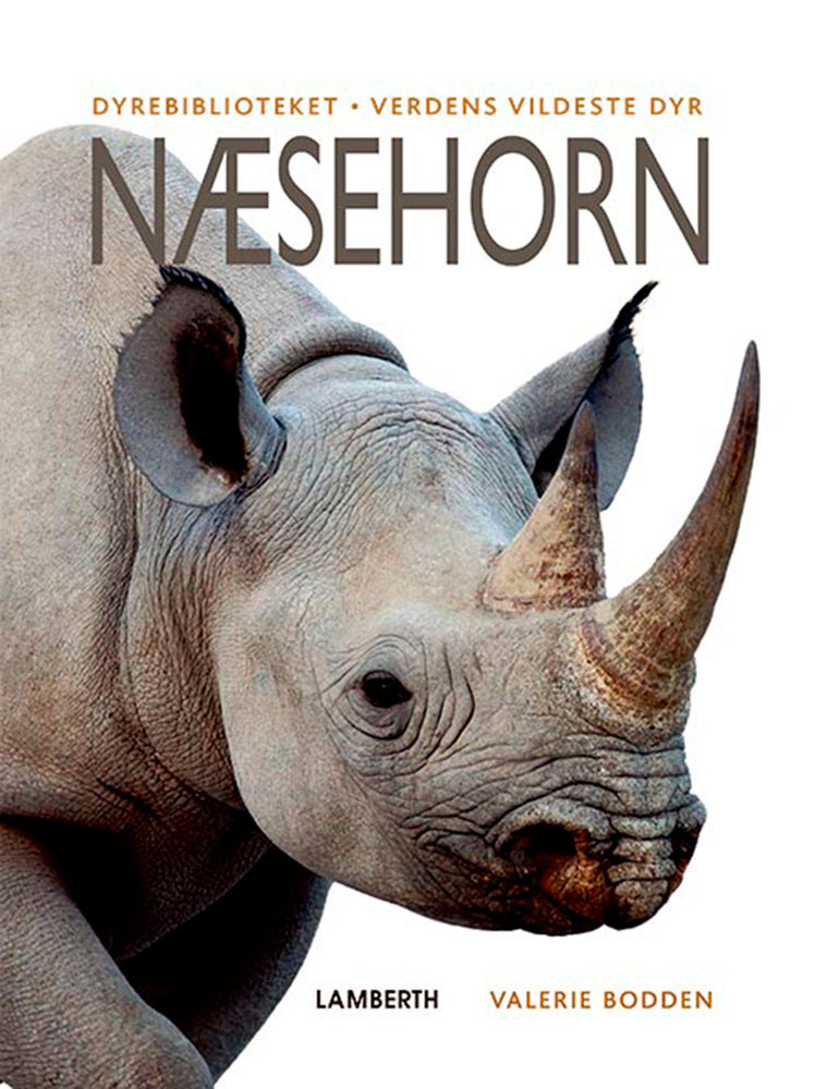 Næsehorn