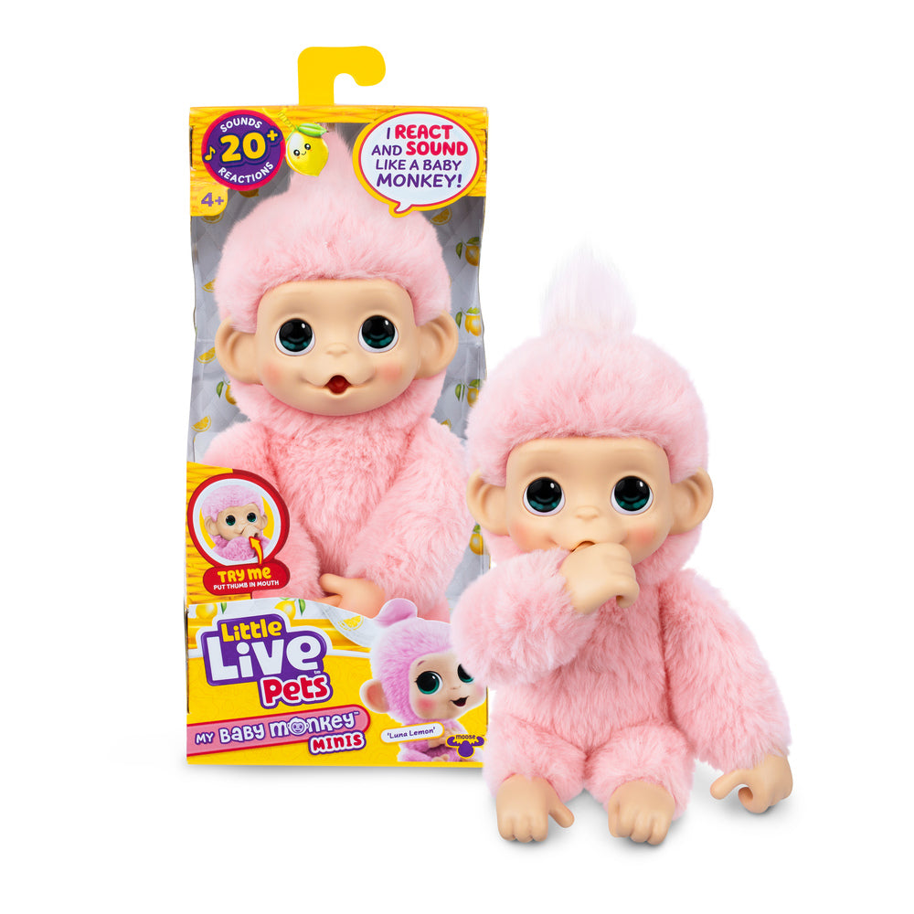 Little Live Pets My Baby Mini Monkey Ass