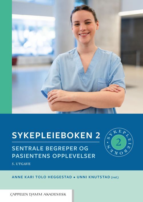 Sykepleieboken 2 : sentrale begreper og pasientens opplevelser
