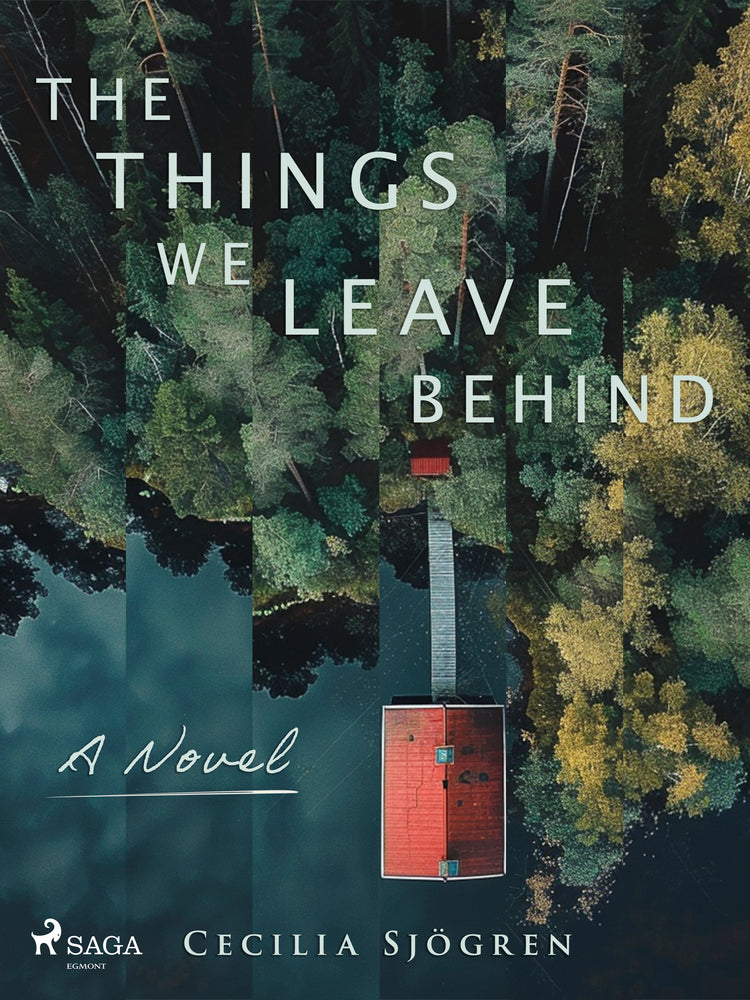 The Things We Leave Behind: a dual timeline, literary thriller set in Sweden