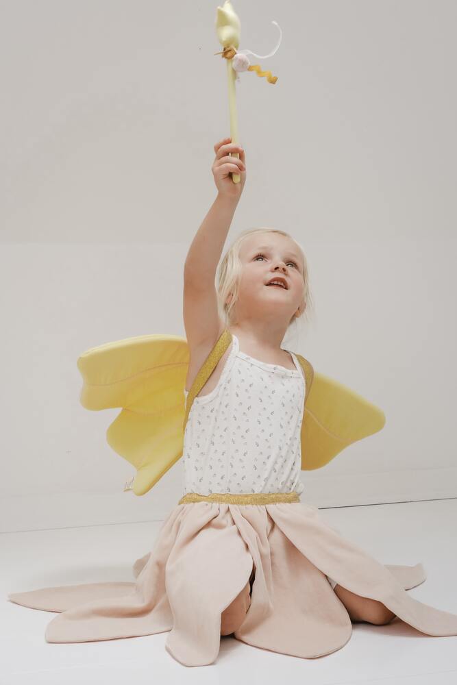 Dress-up - Fairy