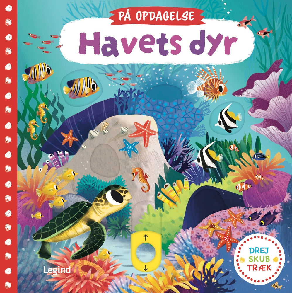 På opdagelse - Havets dyr