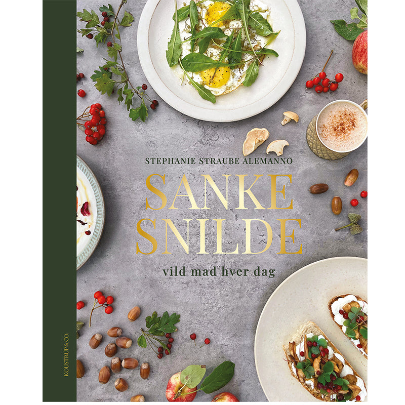 D2 SANKESNILDE