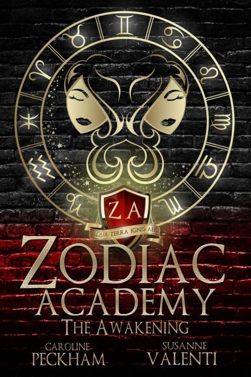 D2 Zodiac Academy