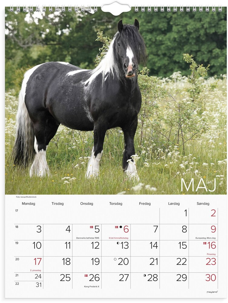 Vægkalender 2027 heste Mayland 29,5 x 39 cm