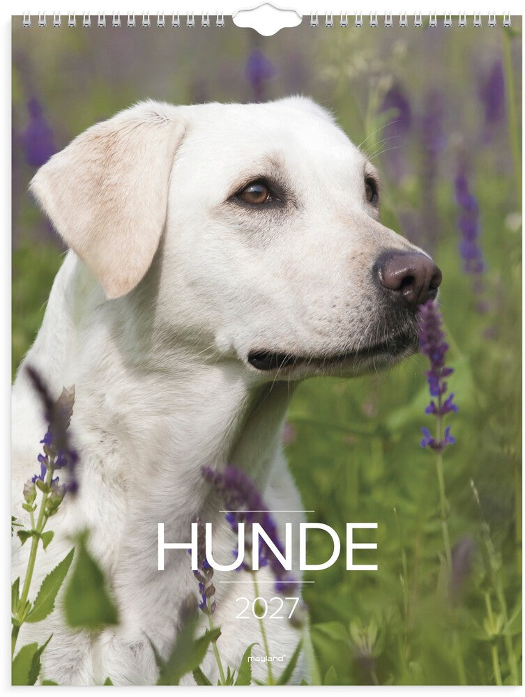 Vægkalender 2027 hunde Mayland 29,5 x 39 cm