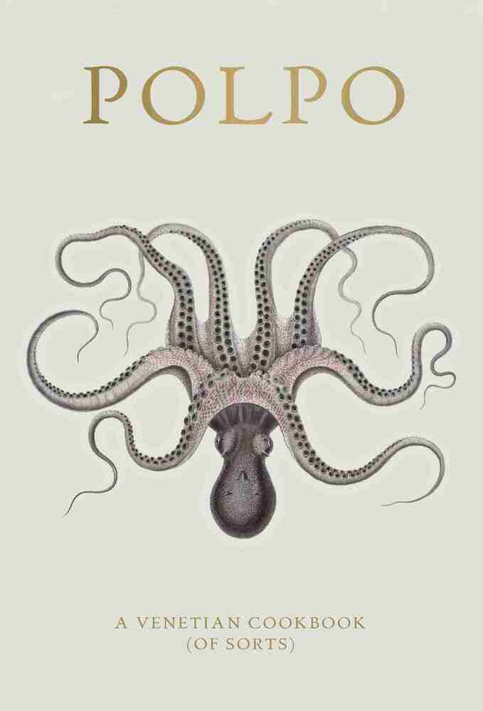 D1 Polpo