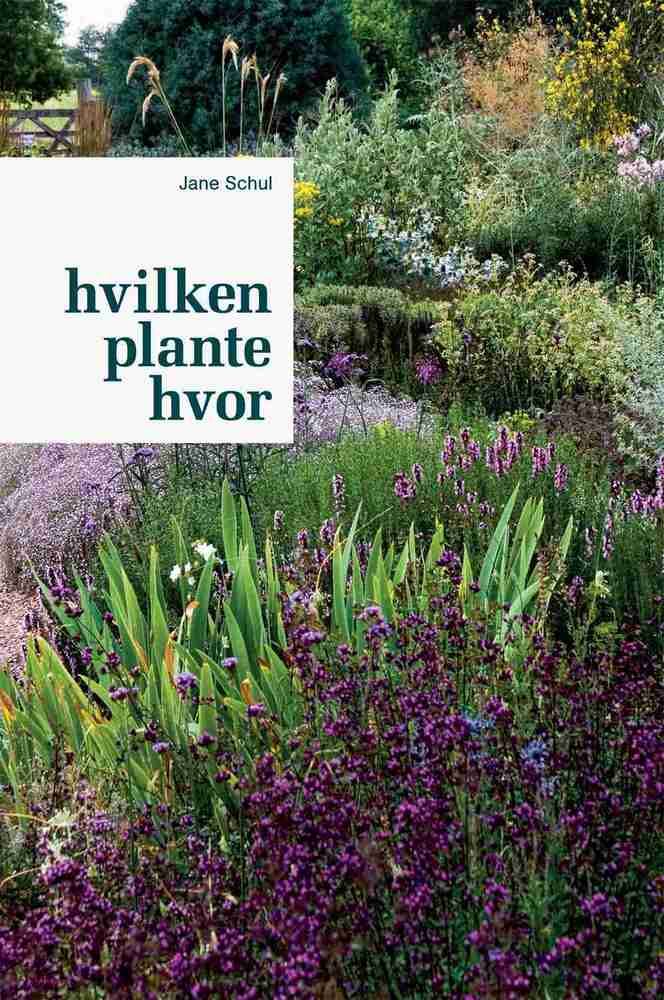 D2 Hvilken plante hvor