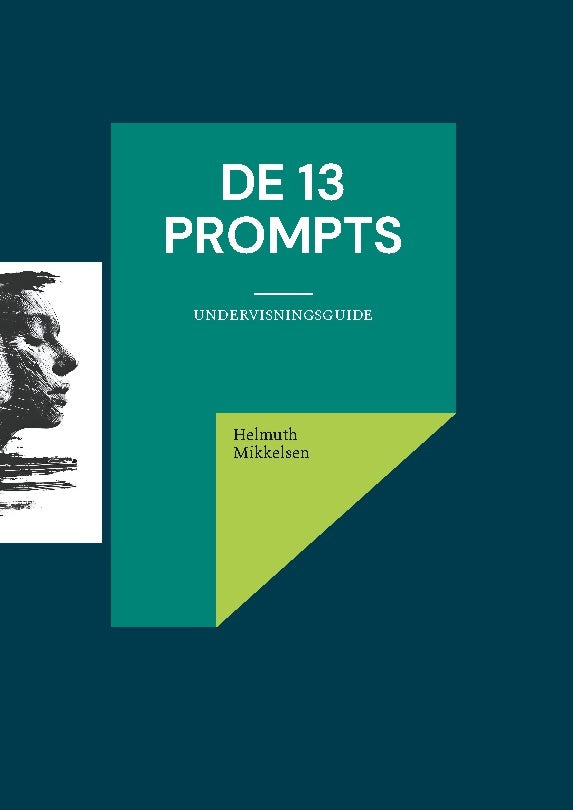 De 13 prompts
