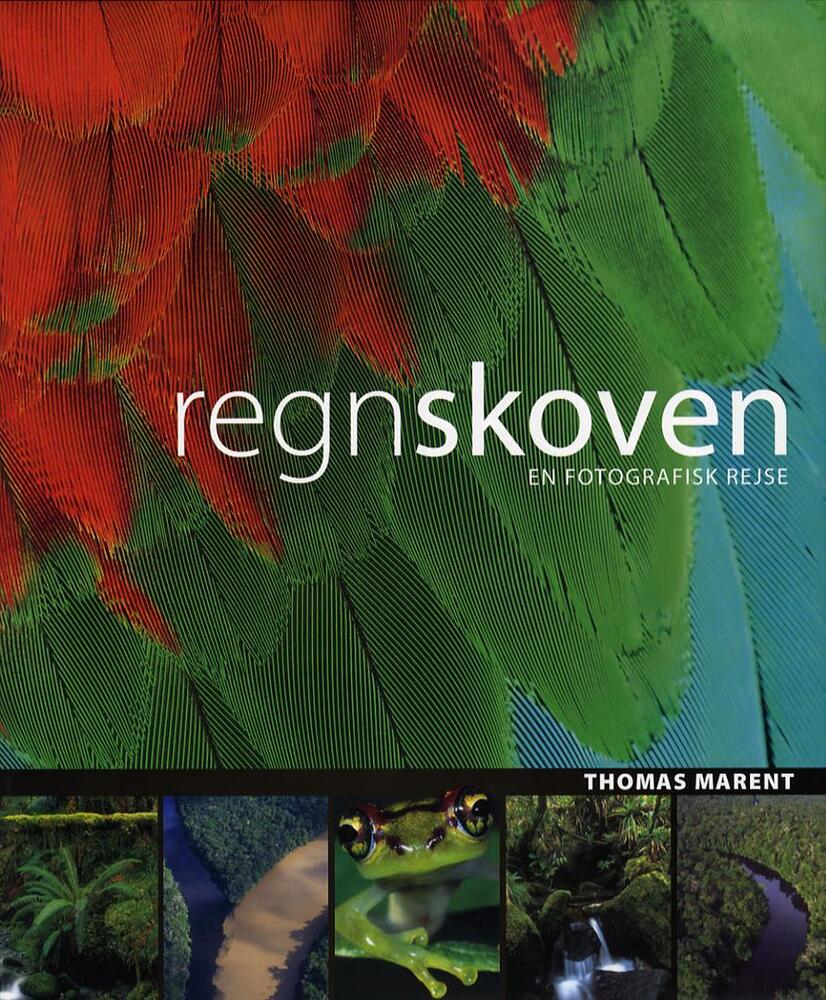 Regnskoven