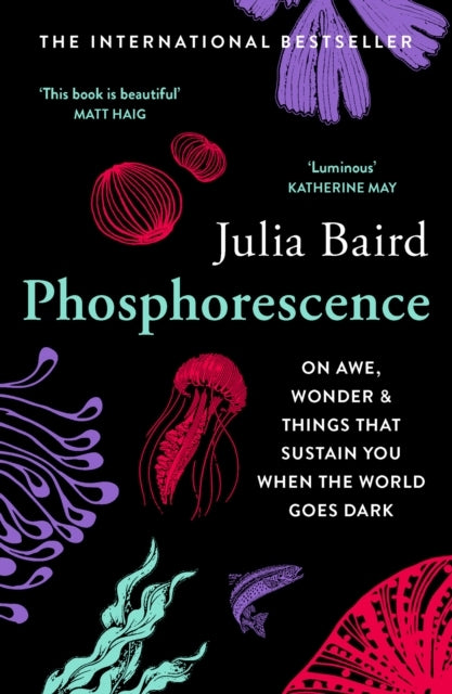 Phosphorescenceon Awe Wonder & Things That Sustain You When