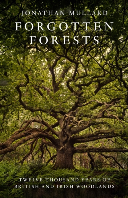 Forgotten Forests Twelve Thousand Years Of British And Irish