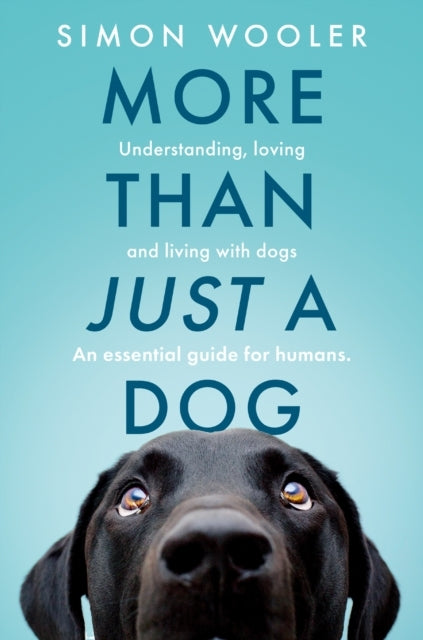 More Than Just A Dog Understanding, Loving and Living With D