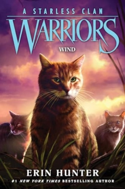 Warriors a Starless Clan #5 Wind