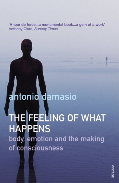 The Feeling of What Happens