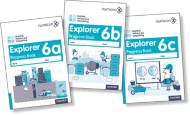 Numicon: Number, Pattern and Calculating 6 Explorer Progress