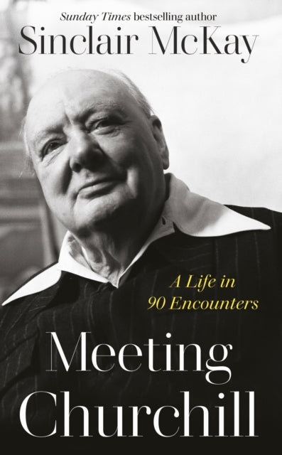Meeting Churchill A Life In 90 Encounters