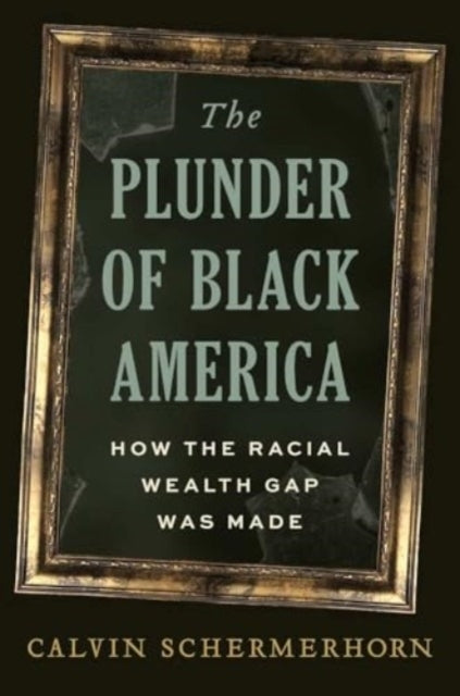 The Plunder of Black America How The Racial Wealth Gap Was M