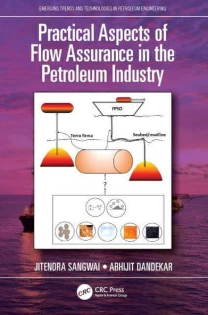 Practical Aspects Of Flow Assurance In The Petroleum Industr